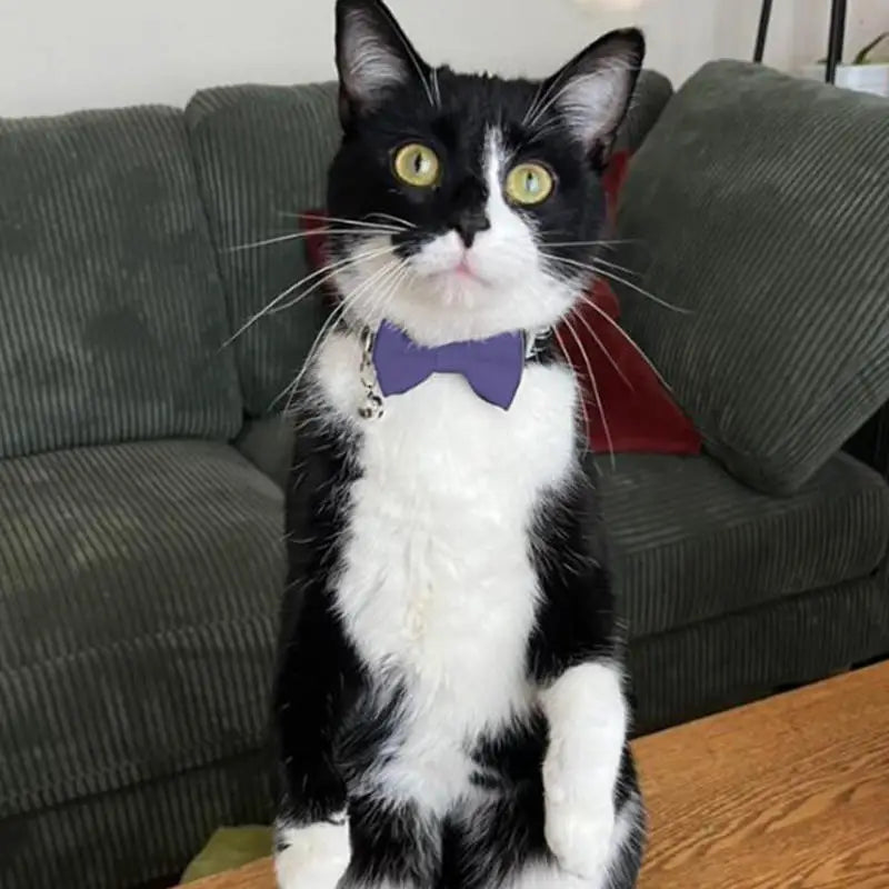 Bow Collar Solid Color Bowknot Puppy Chihuahua Adjustable Cats Accessories Safety Bell Tie Bow Buckle Pets with Collar New