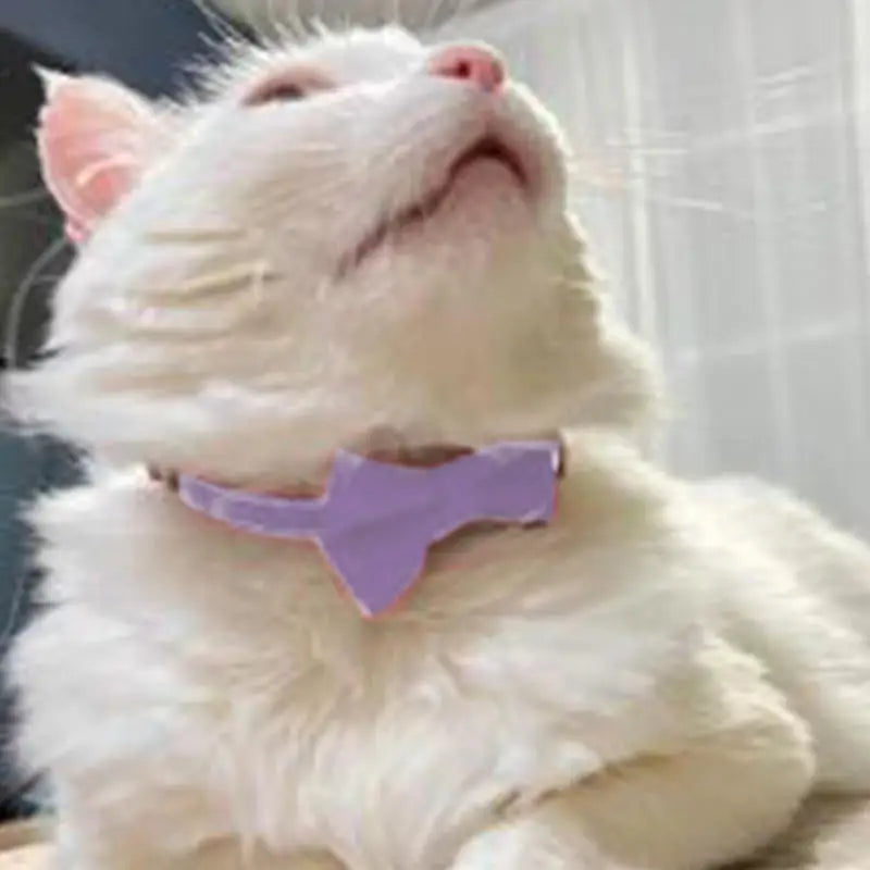Bow Collar Solid Color Bowknot Puppy Chihuahua Adjustable Cats Accessories Safety Bell Tie Bow Buckle Pets with Collar New