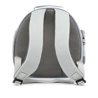 Portable Travel Small Animal Carrier Backpack Breathable Pet Bag For Guinea Pig Bird Rabbit Hedgehog Hamsters Chinchilla